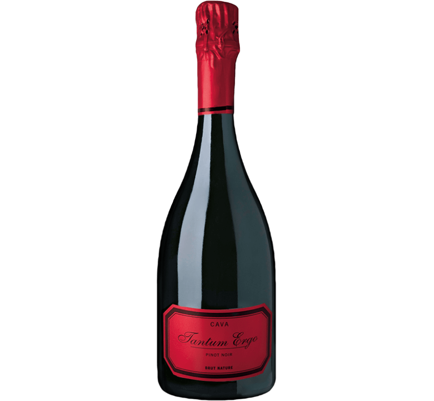 Игристое пино нуар. Пино Нуар брют. Эндемы Пино Нуар брют. Шампанское Pinot Noir Cava. Балаклава Пино Нуар брют Розе.